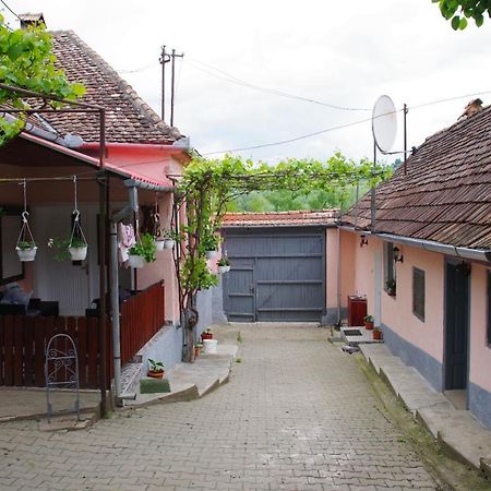 Вілла Casa Maior Sacel  Екстер'єр фото