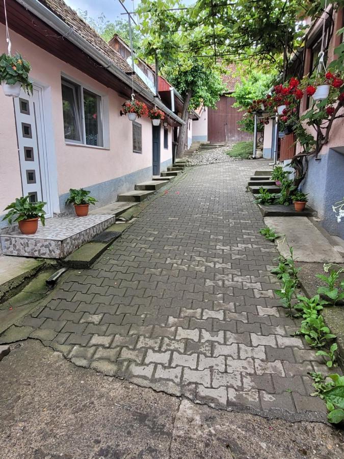 Вілла Casa Maior Sacel  Екстер'єр фото